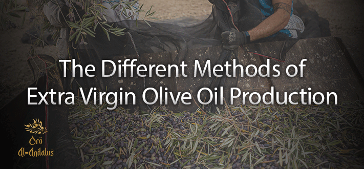 the-different-methods-of-extra-virgin-olive-oil-production