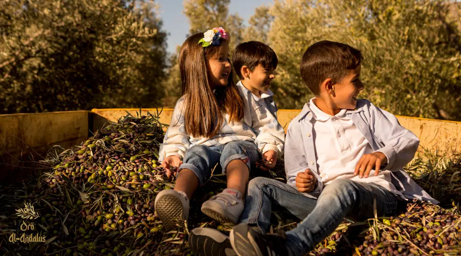 aceite-de-oliva-alimentacion-infantil